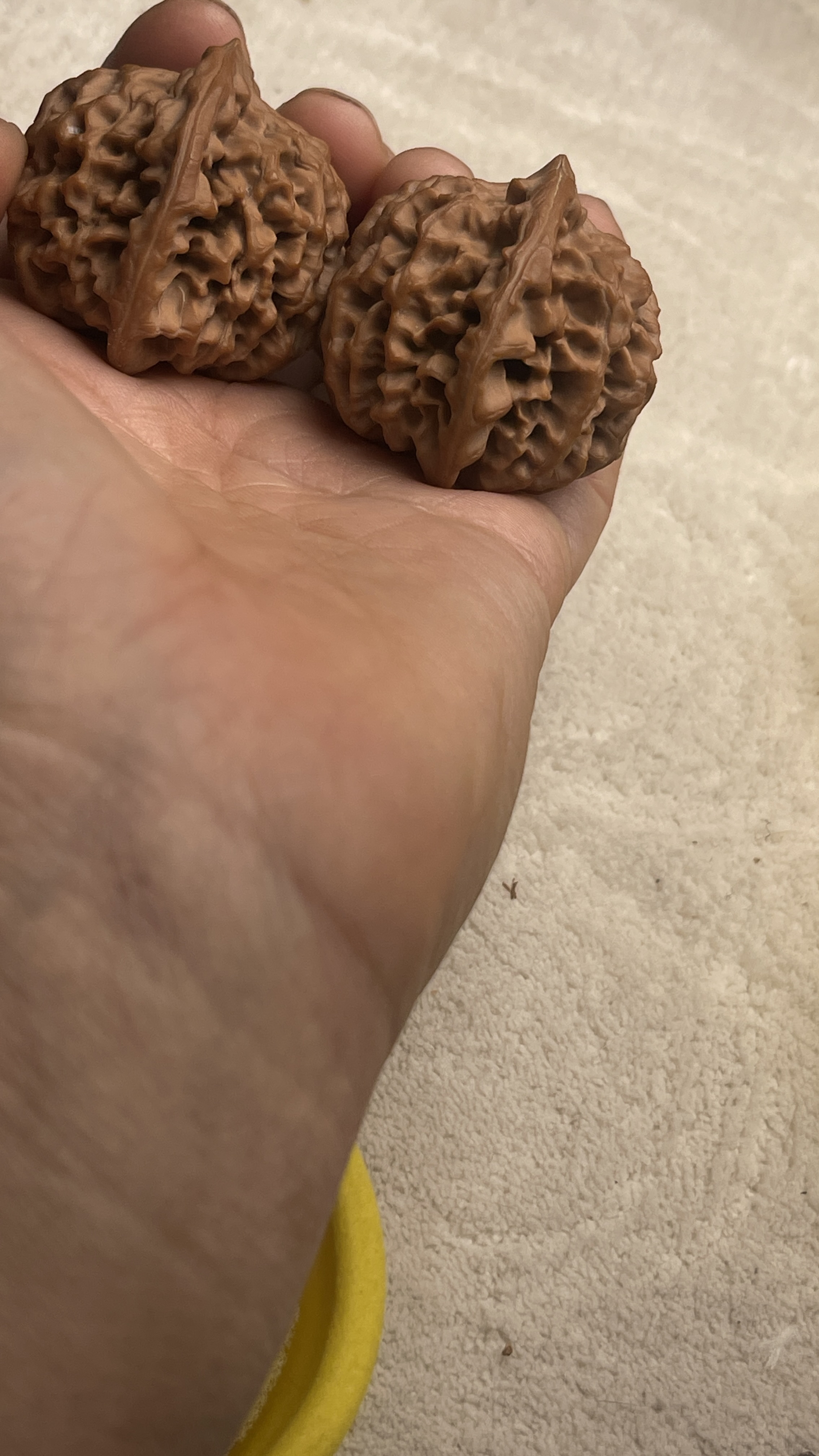 37秦闷无药果全品普对