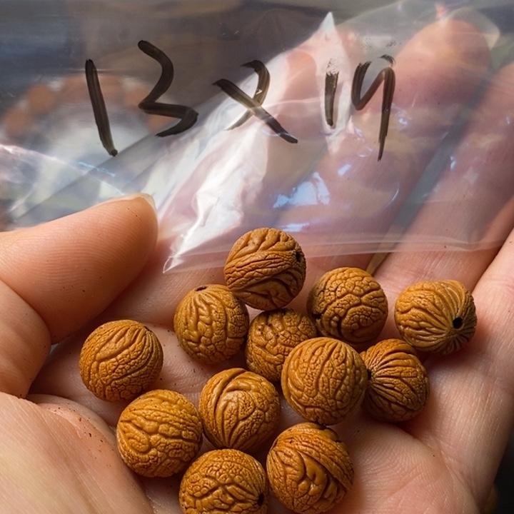 文玩核桃吊坠秦岭野生龙纹桃核13