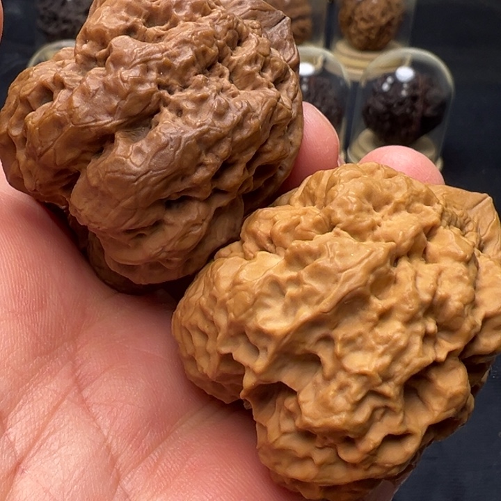 文玩核桃把件火凤凰45mm