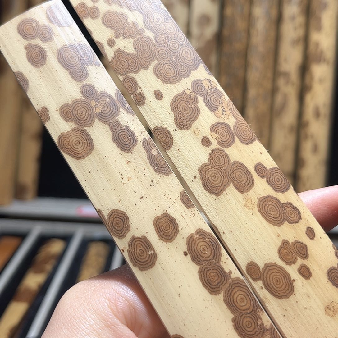 扇子绿春云妃可做9.5寸2.0扇料