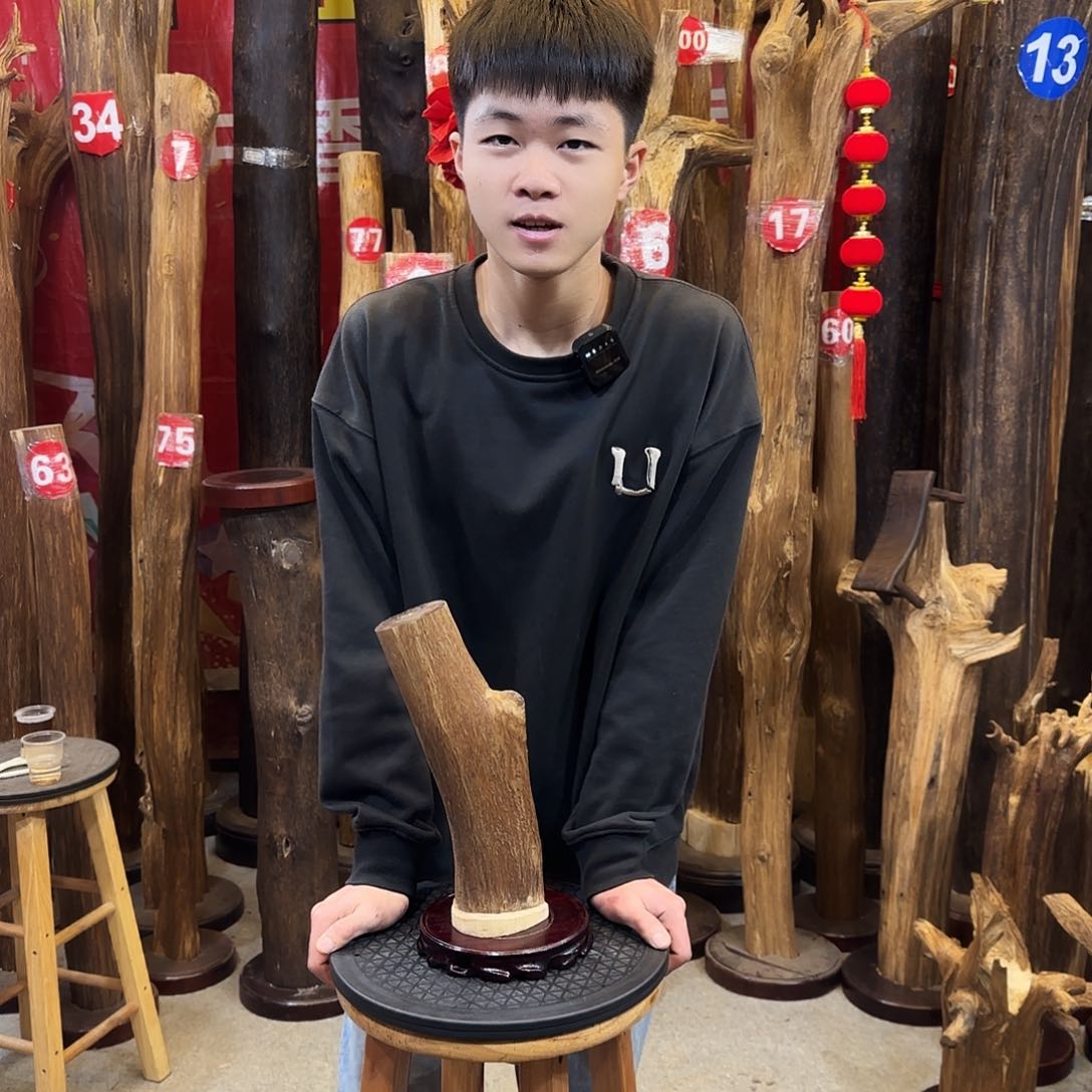 沉香摆件海南沉香