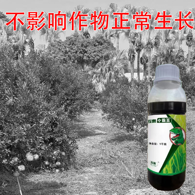 果园茶园使用不影响农作物生长有机质肥料