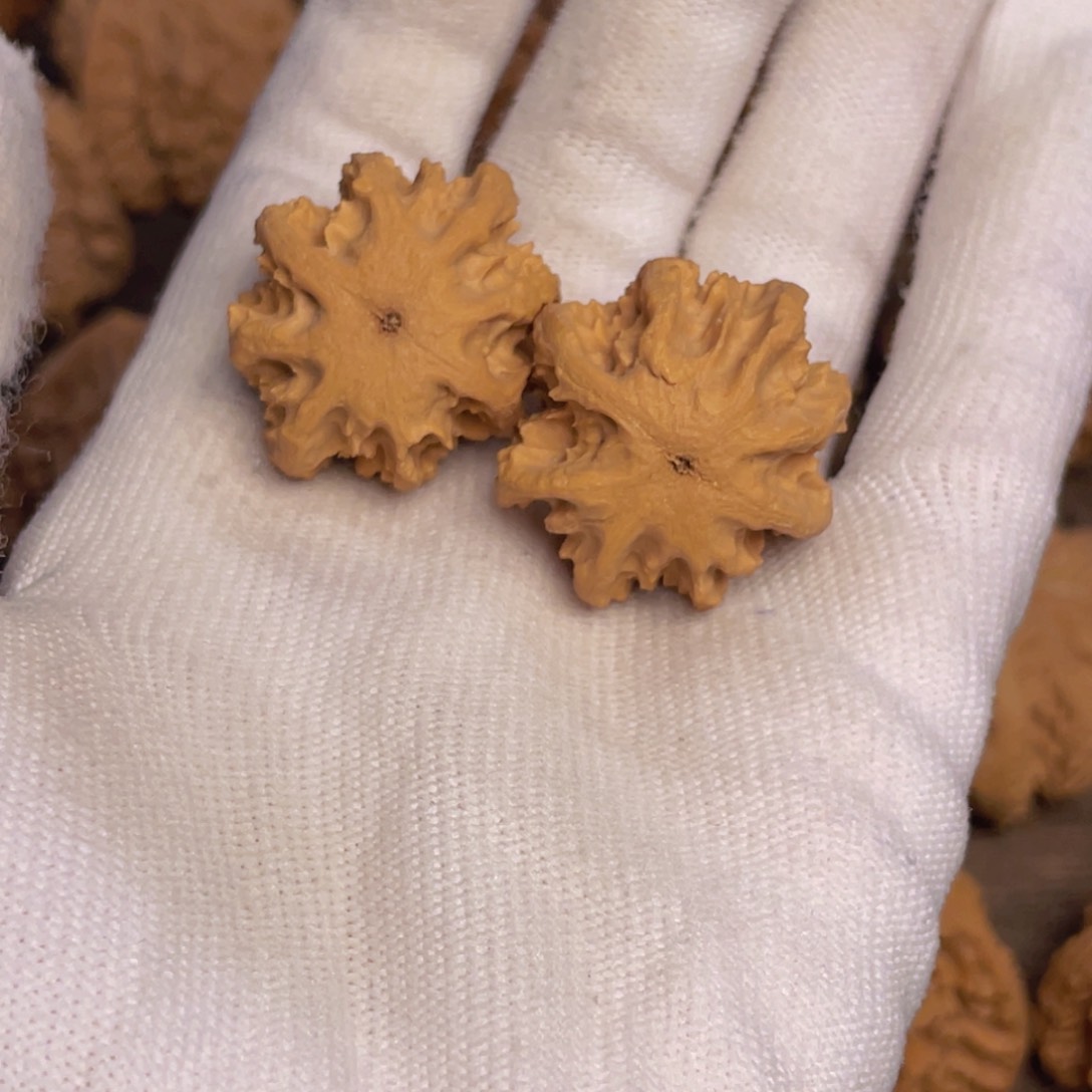 文玩核桃吊坠37秦岭灯笼野生小众