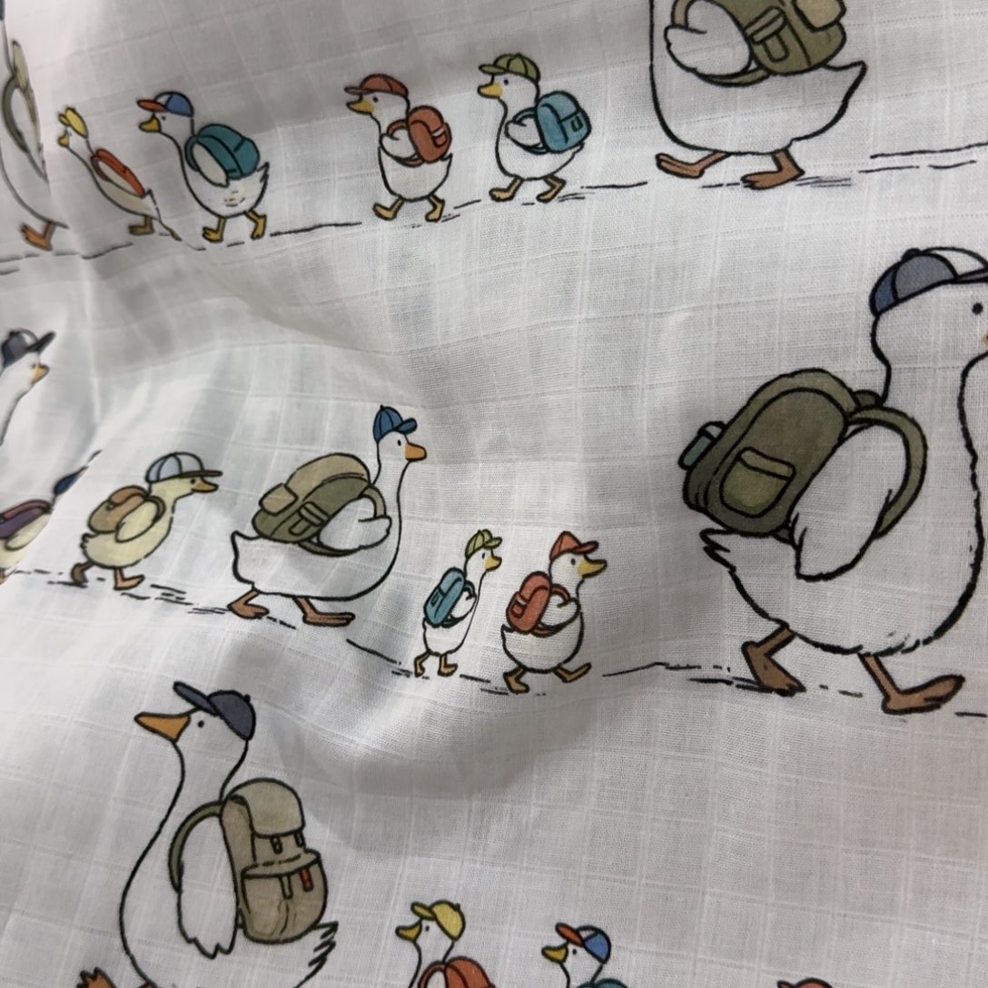 棉1.3米价纯棉格纹双层纱X1.67米宽E