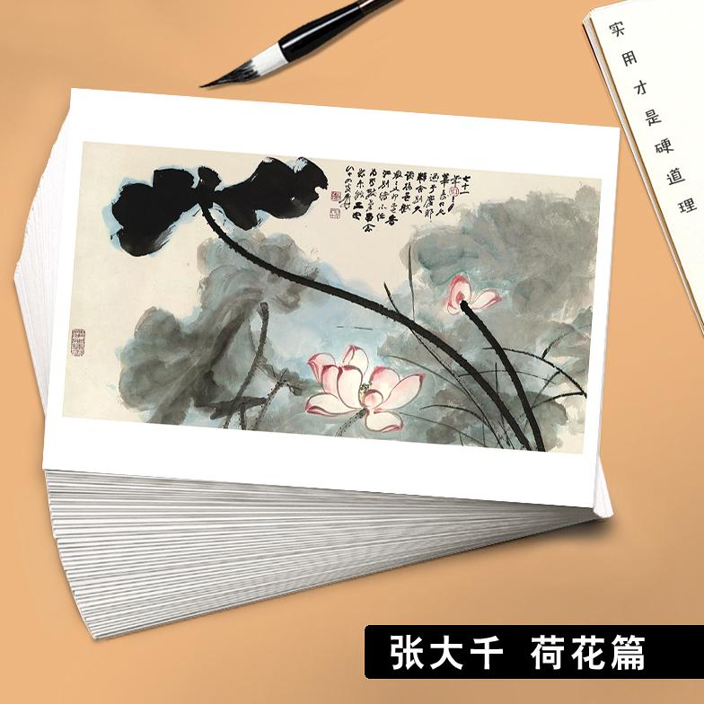 国画临摹卡张大千荷花篇中国水墨画绘画入门培训单片高清印刷32张