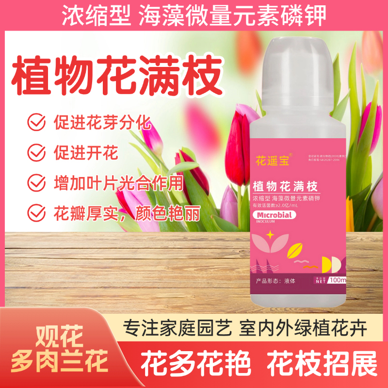 【植物花满枝】快速开花爆花茶花桂花三角梅君子兰茉莉花