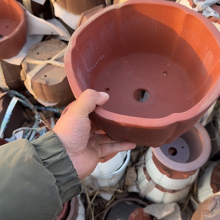 是的呀哈哈是这样哈哈不错了这个视频的感觉太有意思哦看的