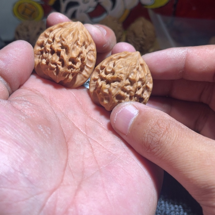 L***I101龙鳞狮子头666