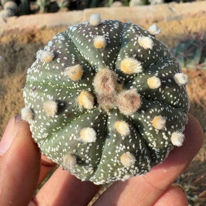 中场福利55555555555