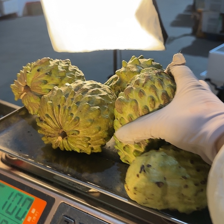 珍珠芭乐释迦黑皮不售后