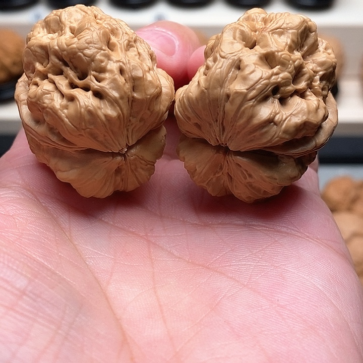 文玩核桃把件北…………………………