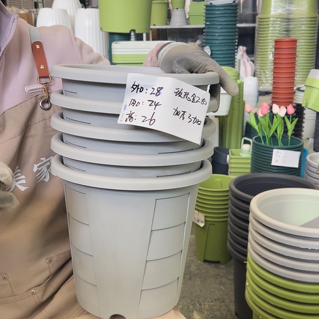 玫瑰280#灰白色5个无托