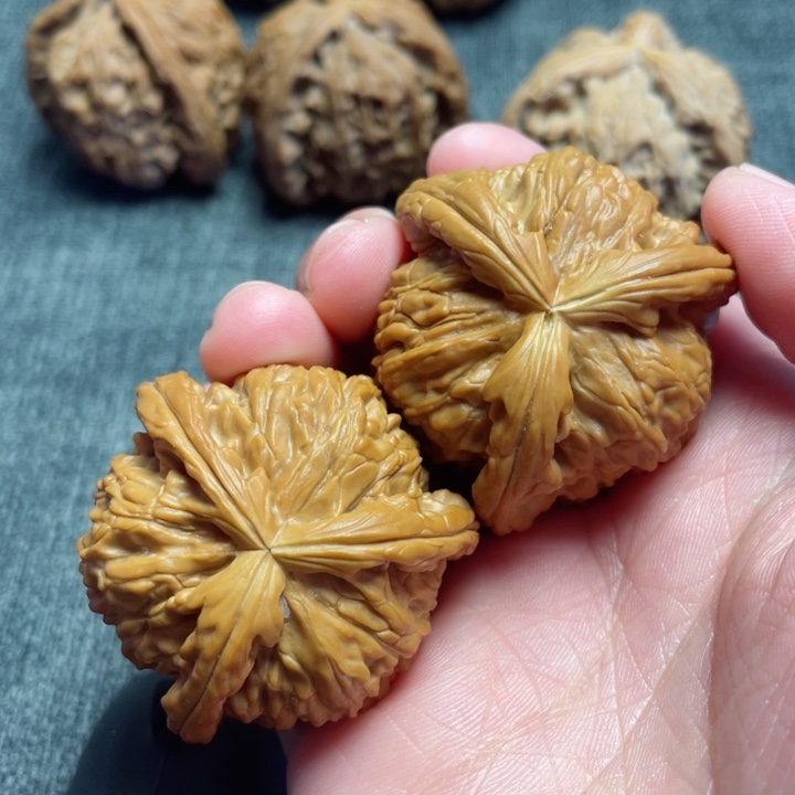 工艺三棱白狮子三棱