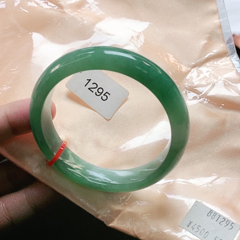 未镶嵌手镯翡翠1295