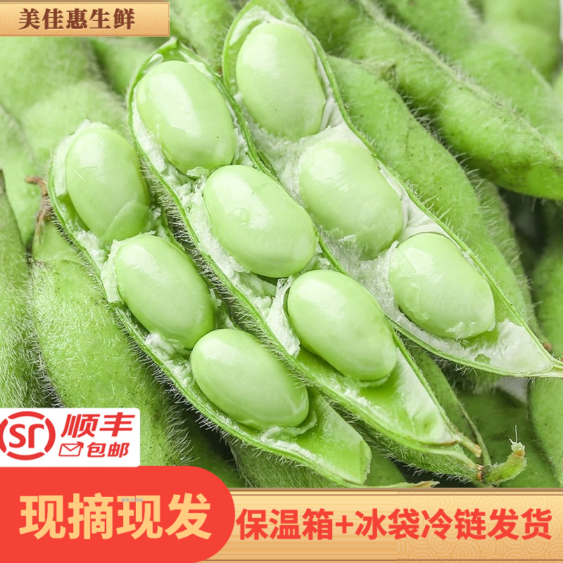 2025新鲜带壳毛豆现摘现发3斤5斤装泡沫箱加冰加急发