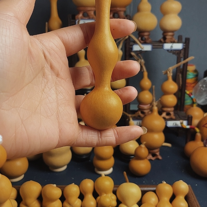 海***线葫芦花为原料生产原料生产