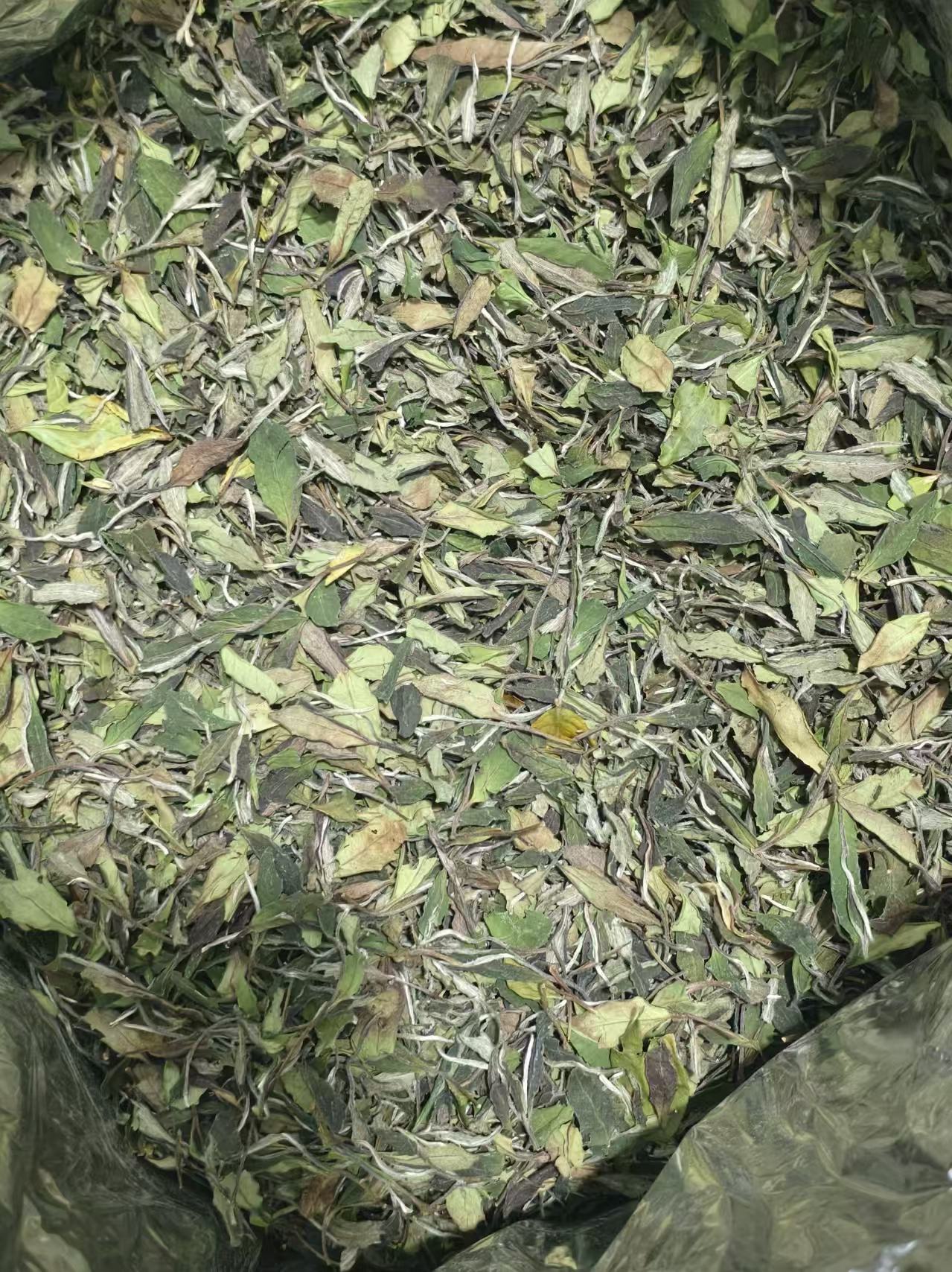 福鼎白茶 管阳产区2025春寿眉 花香清甜滋味饱满鲜爽