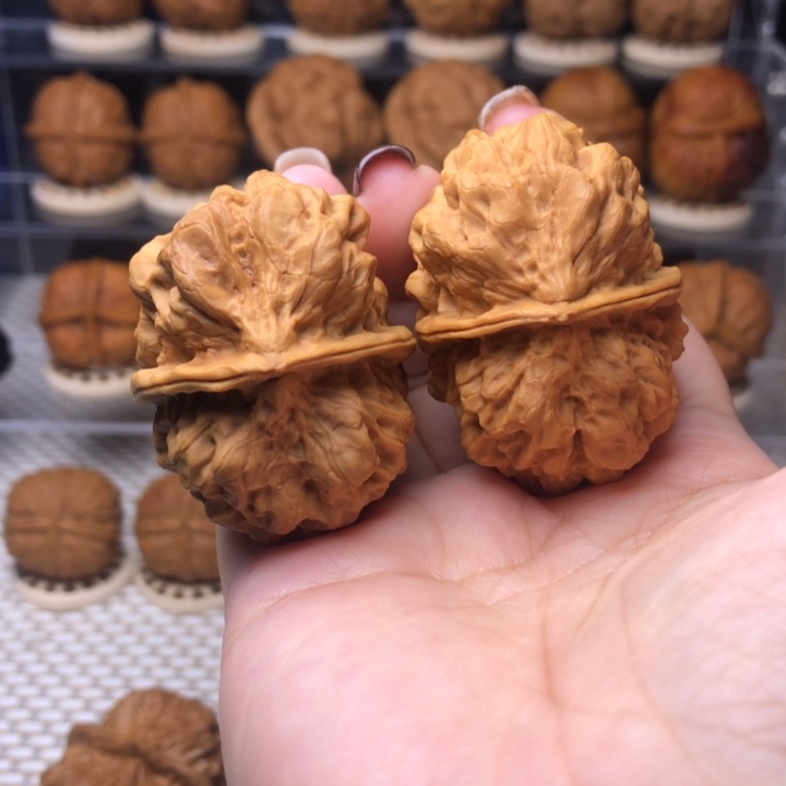 把件文玩核桃6号上古金蟾46尺Y