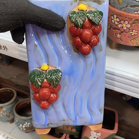 【闪购商品】红陶1