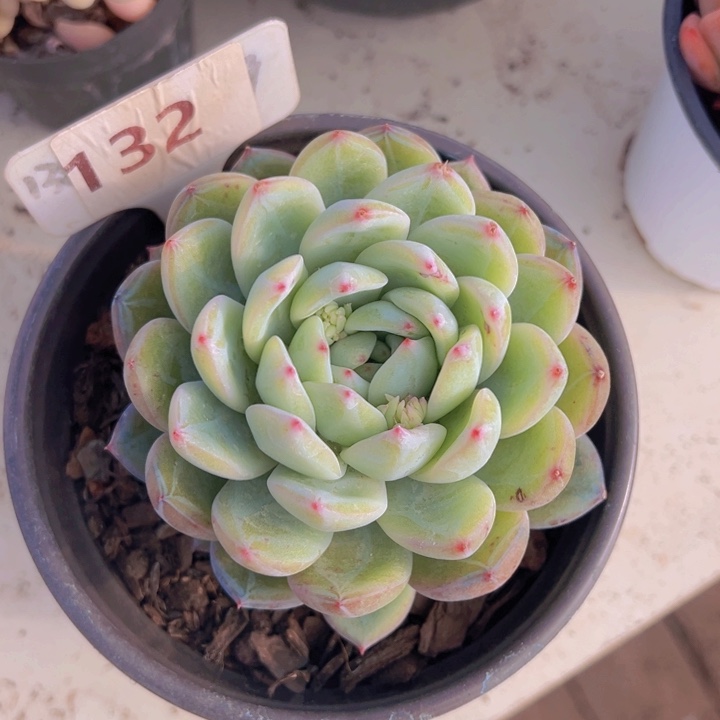 健健康康平平安安