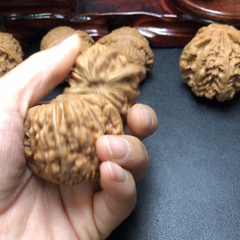 大叶紫檀（黑酸枝木类）用****4