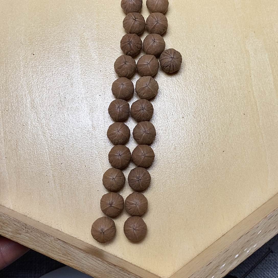 手串猴头核桃微*10南瓜不退不换