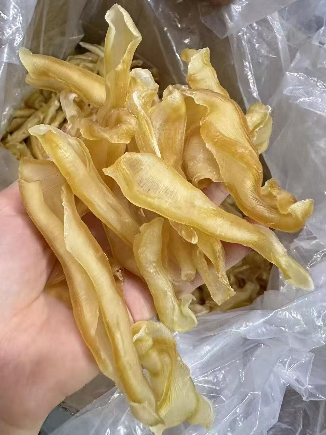 深海红鳌凤尾胶干货滋补胶质可煲汤做甜品