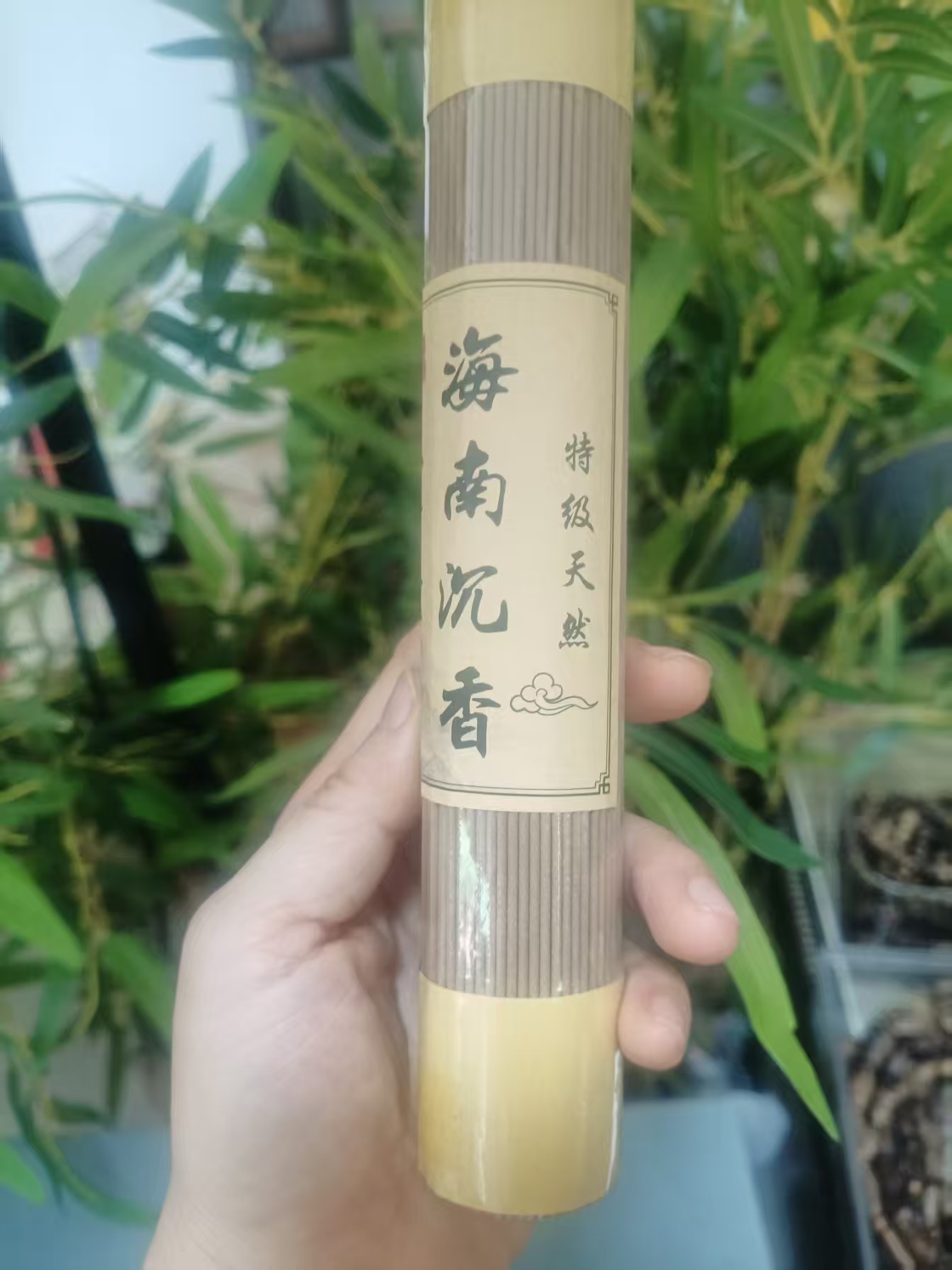 海南莺歌绿棋楠沉香线香100克