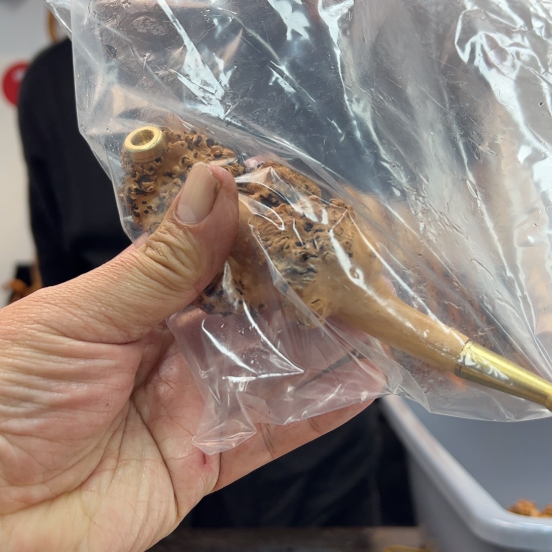 黑果木其他黑果木549