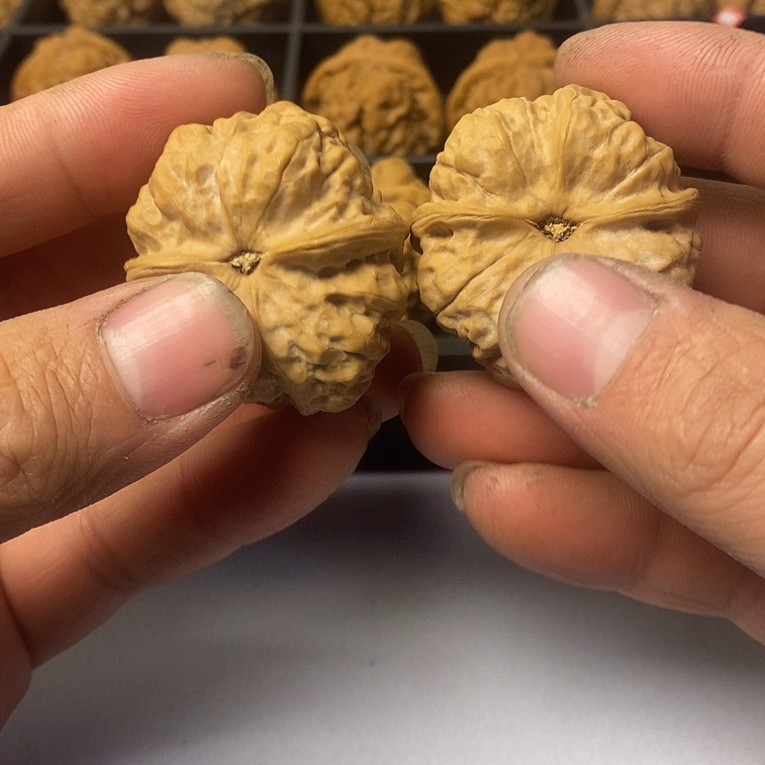 丸***香37尺寸55555555555555