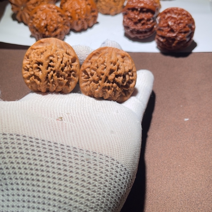 你***i精品小秦闷41尺寸