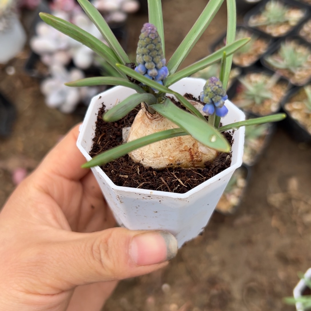 多热情咯哦我摸我