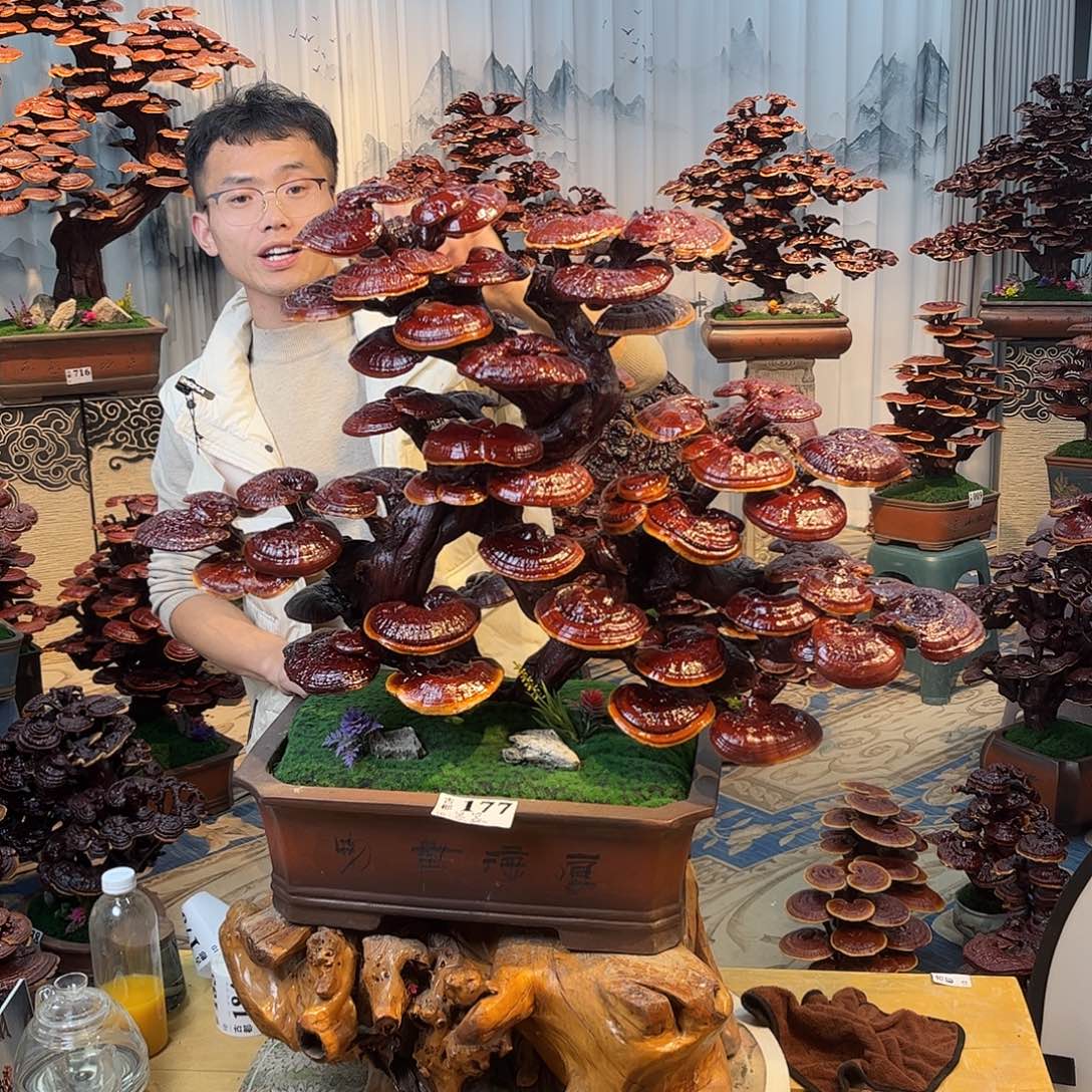 无花朵888888888888