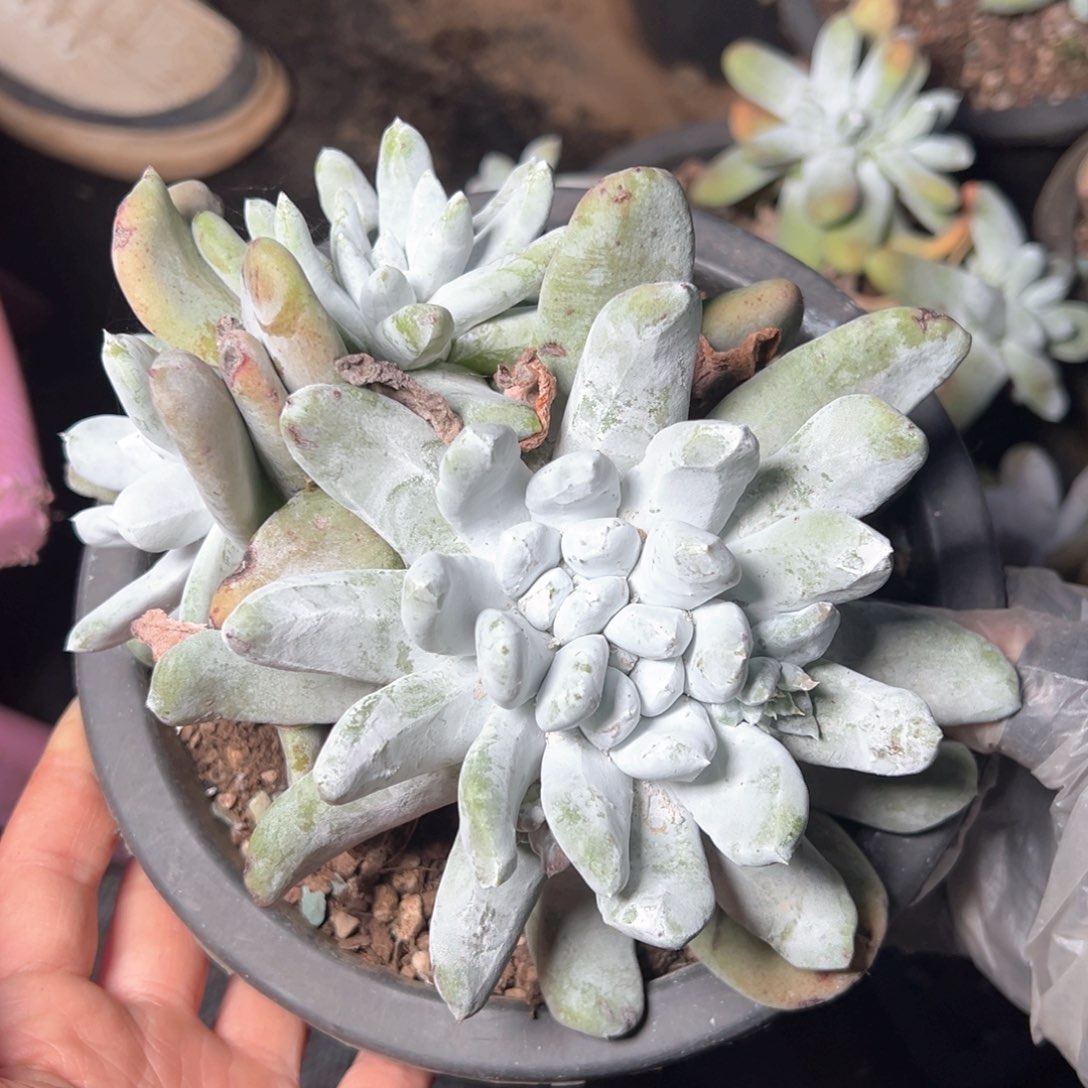 7123哈哈哈哈哈哈哈