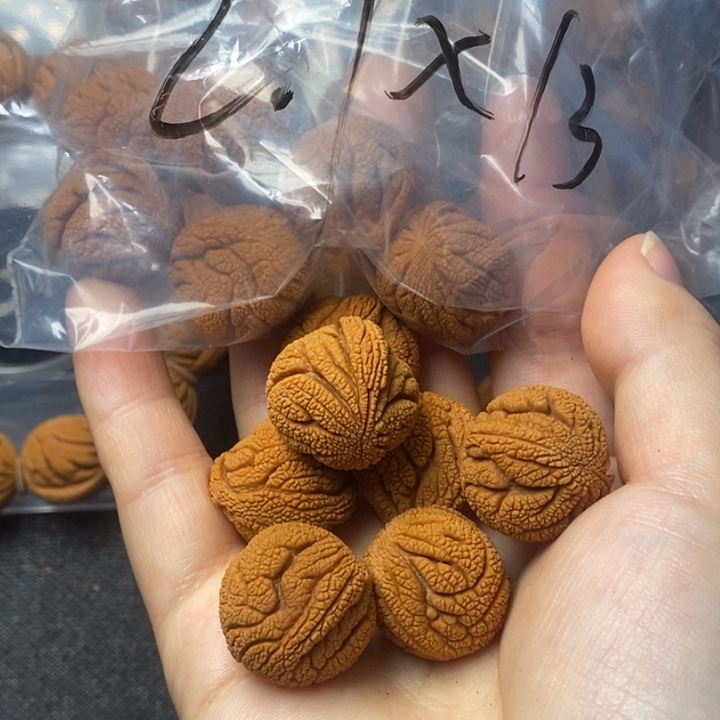 桃核吊坠秦岭山野生桃核