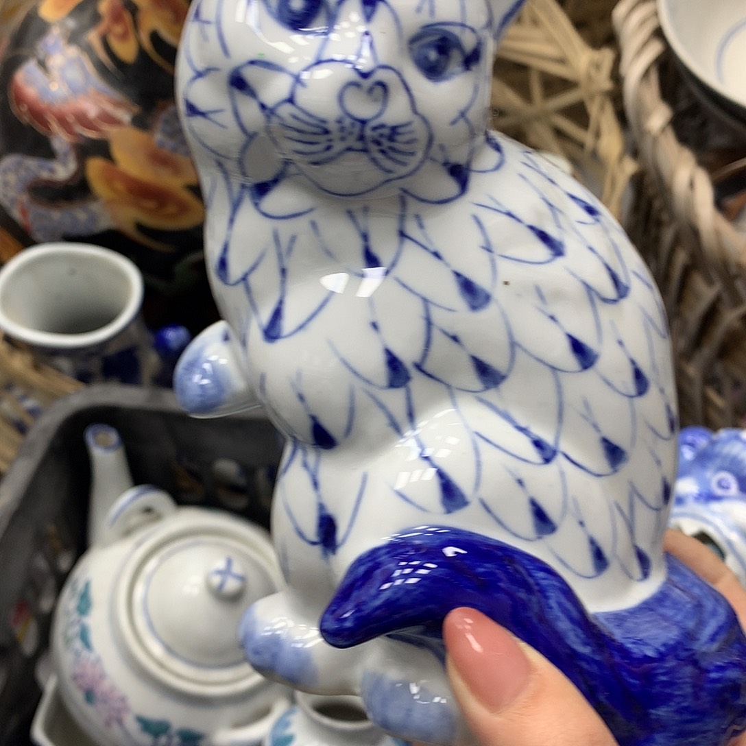 花猫3344555566666