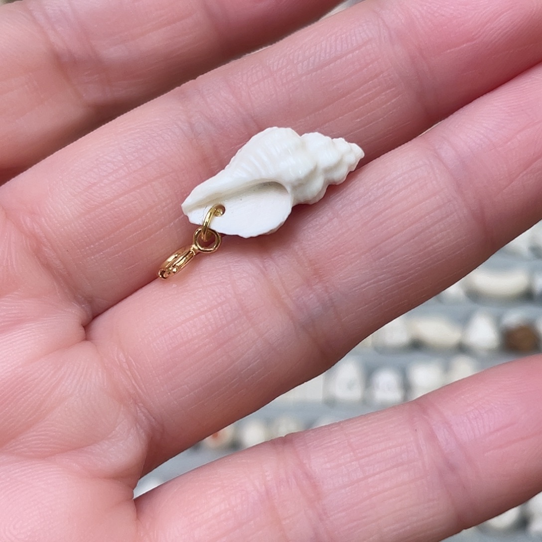 手串/手链/手镯猛犸象牙海螺