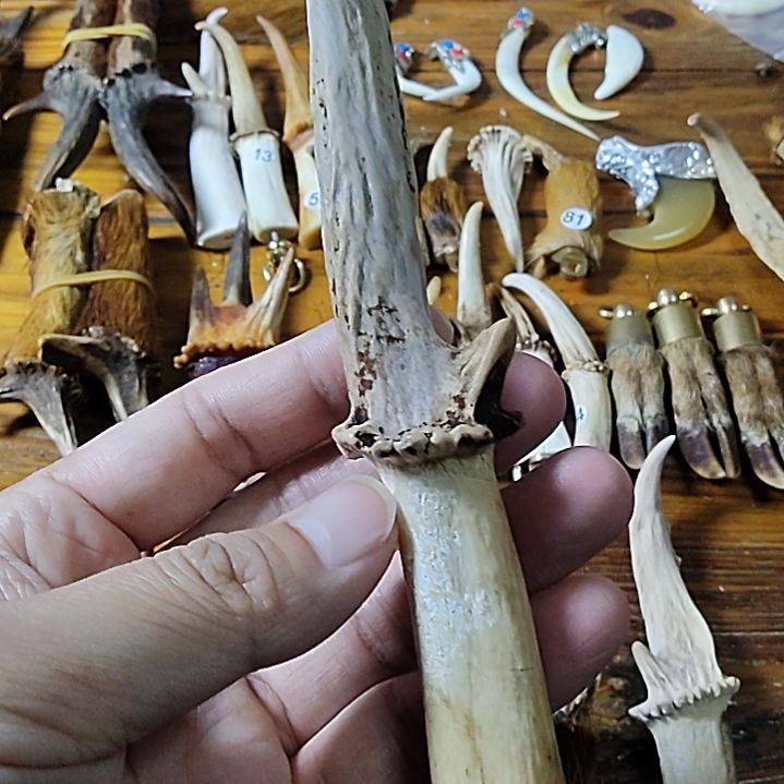 鸿乐堂直播间选货