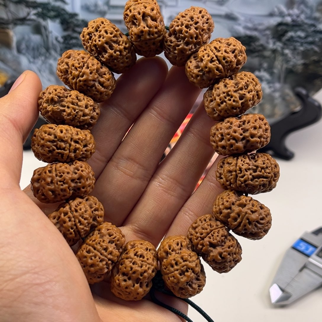 手串金刚菩提甲板20