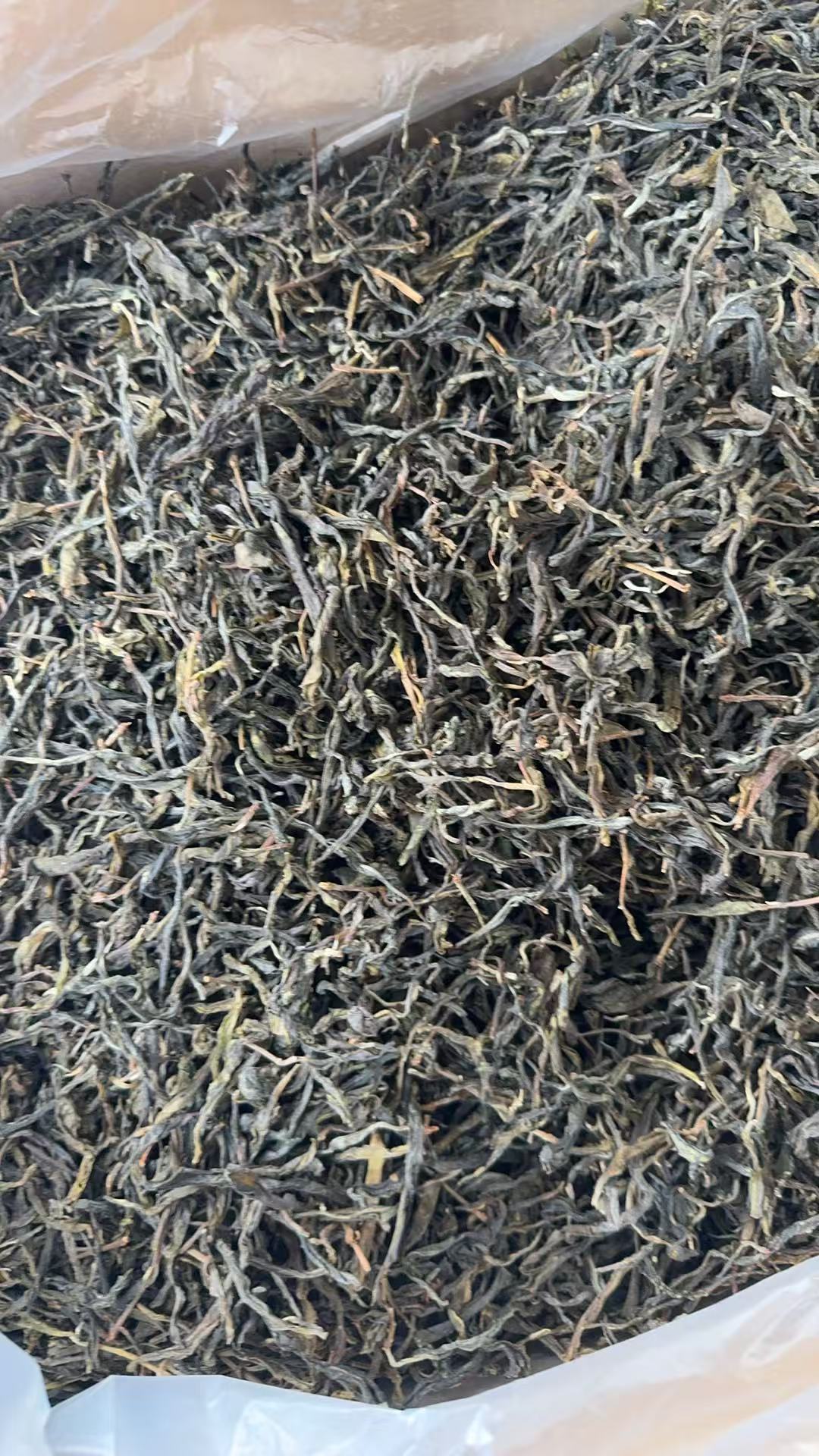 【483】2024年 冰岛坝歪 森林乔木头春 生茶 散茶