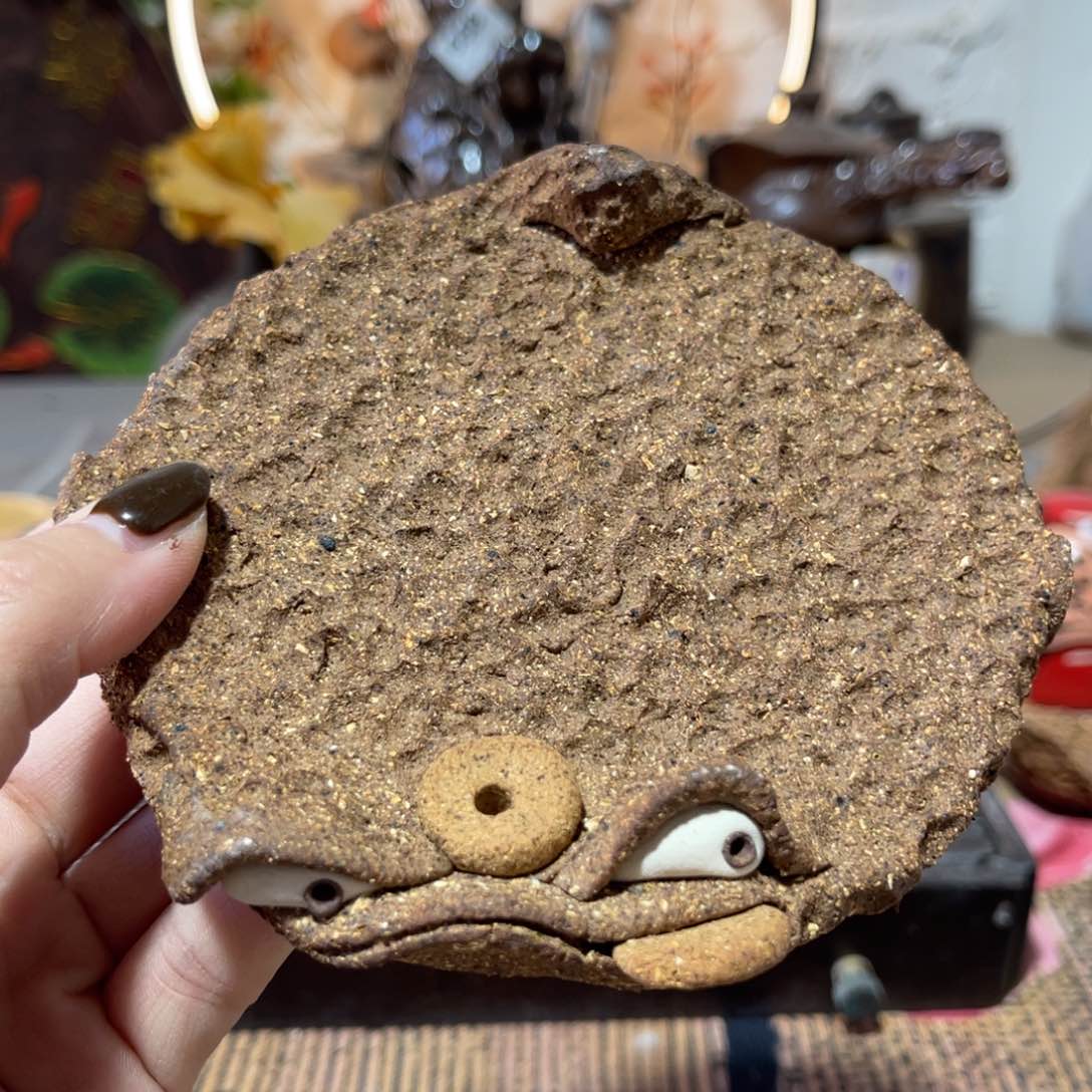 木村信弘柴烧保平