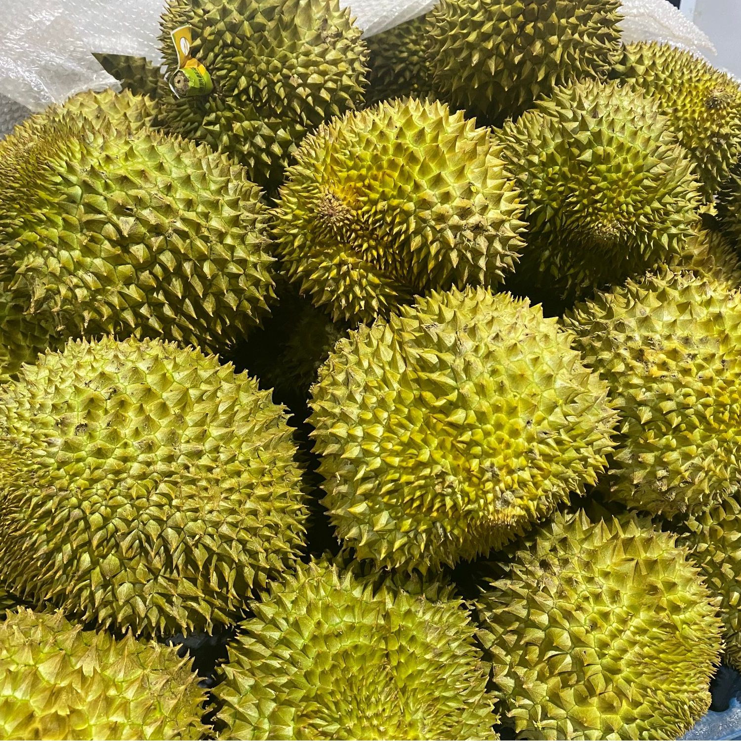 【顺丰包邮 整箱】3-4颗装整箱AA级鲜金枕榴莲带壳软糯香甜净果17斤