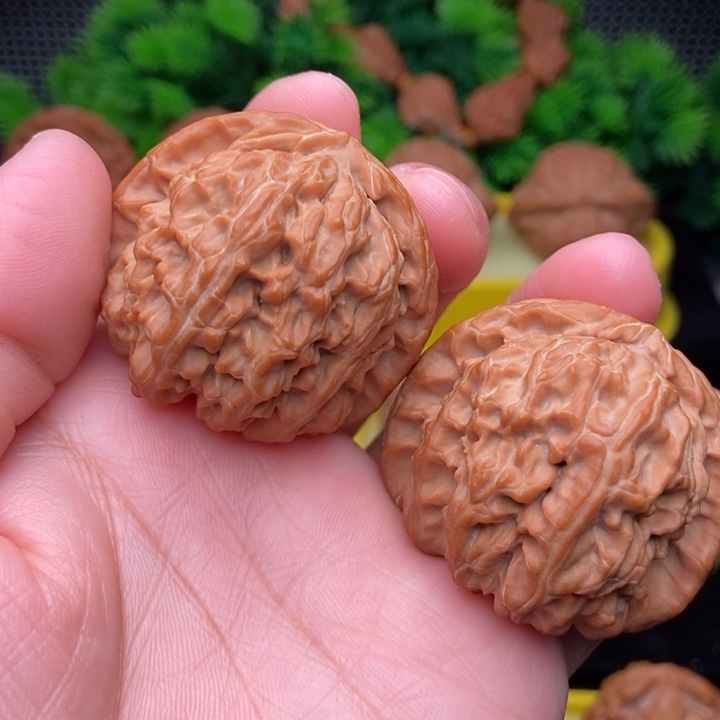 白狮子42全品11111111