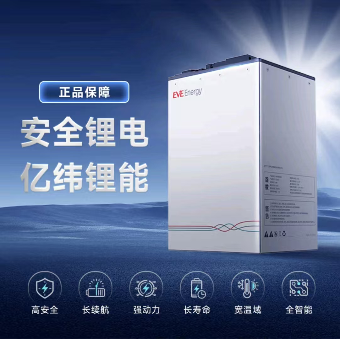 亿纬锂能64v45A全新原厂正品锂电池全新A品磷酸铁锂/两轮三轮专用