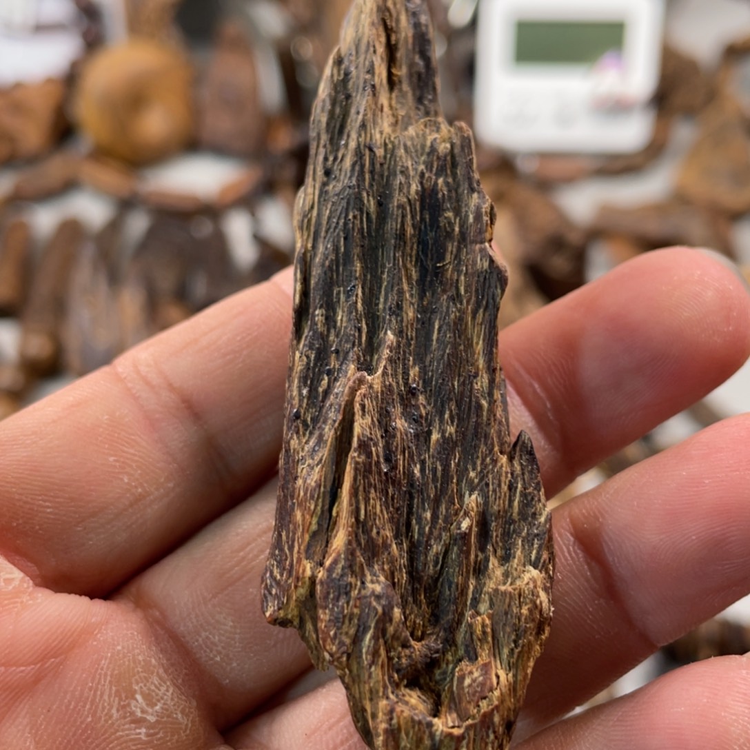 沉香碎屑沉香达拉干沉水