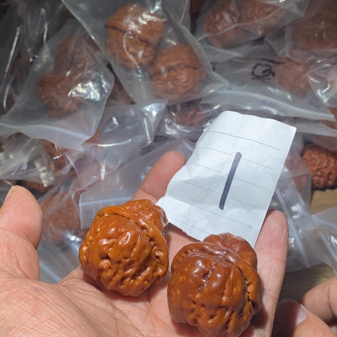 蛤蟆头。  色系。       