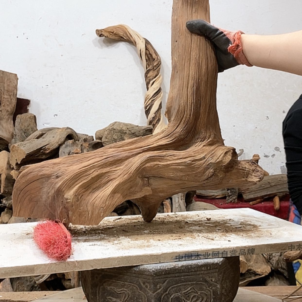 【闪购商品】柏木7*7我们都是好孩子