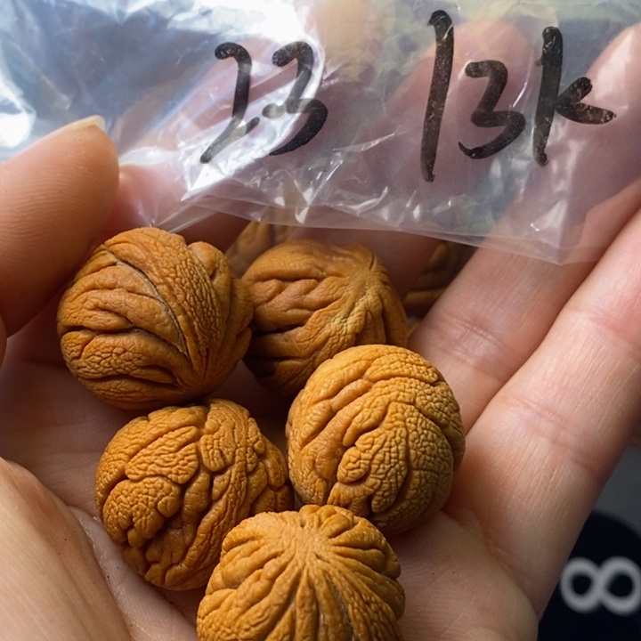 手串文玩核桃秦岭野生龙纹桃核23