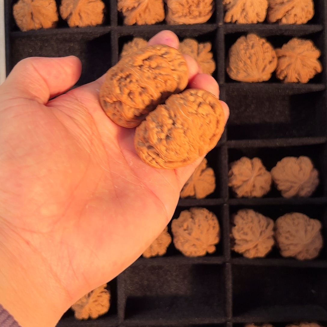 手串/手链核桃55555