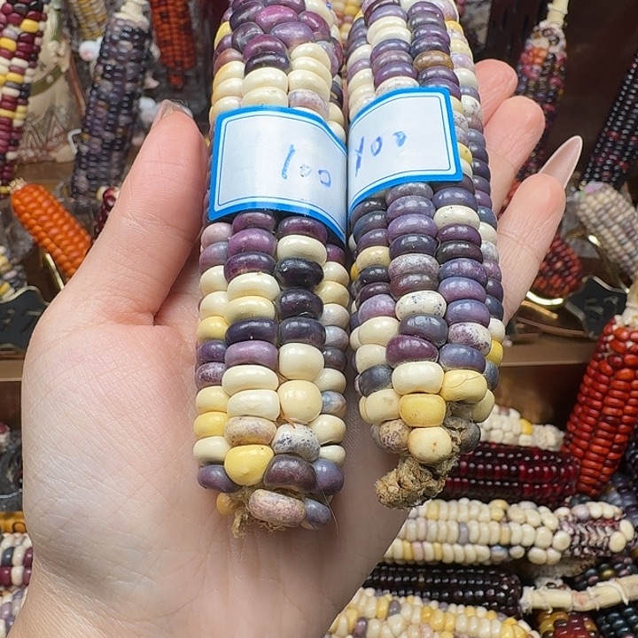 小***作大叶紫檀（黑酸枝木类）